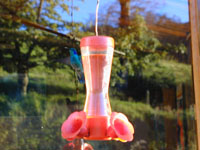 Colibry (Miniatura)